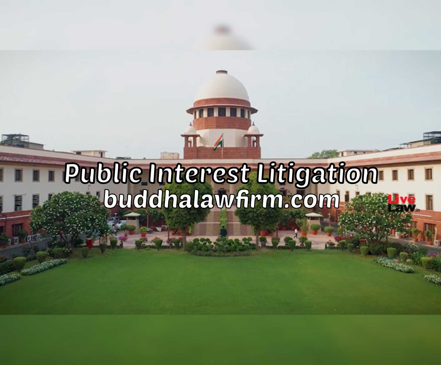 Public Interest Litigation Attorneys in Chennai | Advocates for Writ cases in India | Senior Lawyers for Writ Petition Matters in Tamil Nadu | International Law Firm