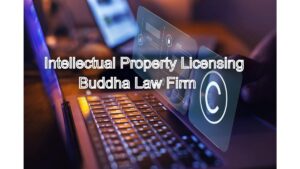 Intellectual Property Licensing: Negotiating Agreements and Maximizing Value