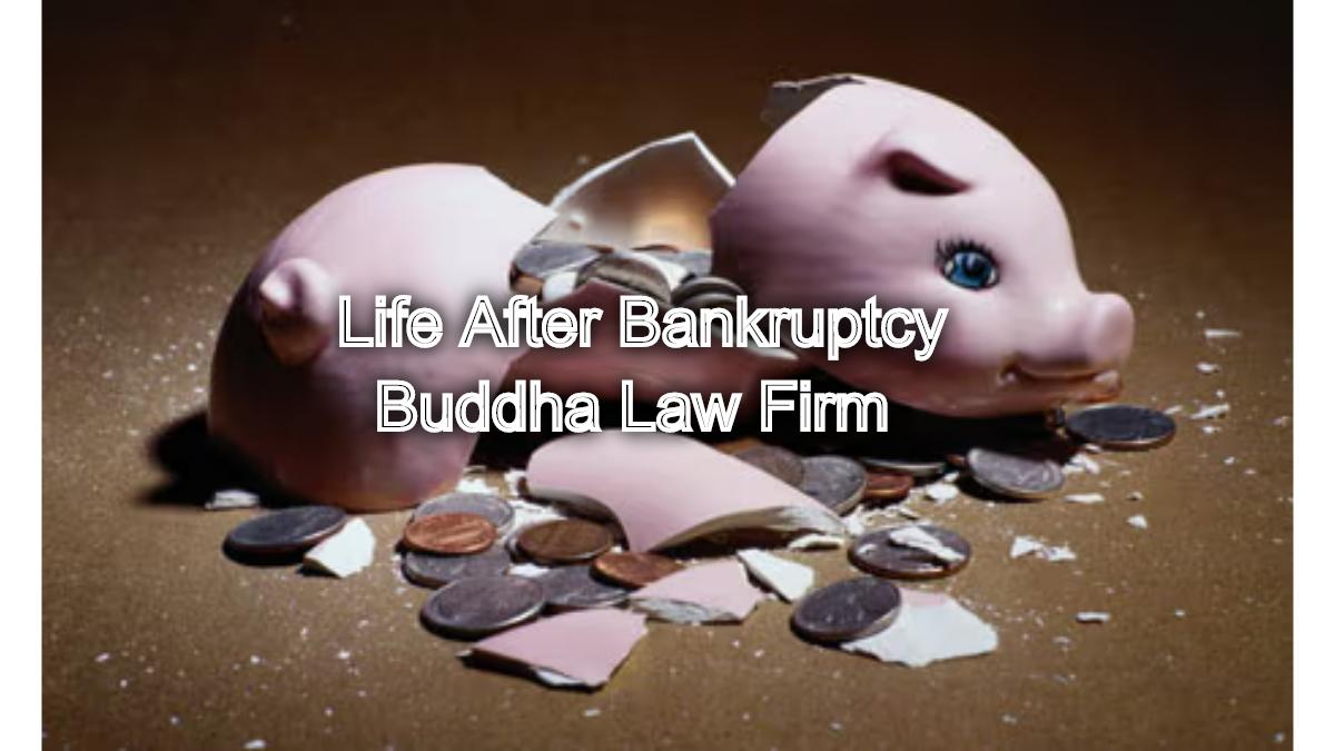 Life After Bankruptcy: Rebuilding Credit and Financial Stability