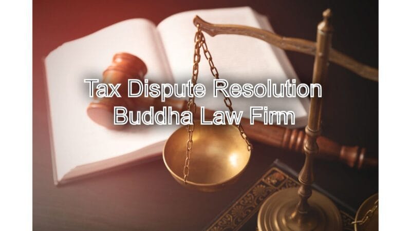 Litigation Resolution Process Tax Dispute Resolution: Resolving Disagreements with the IRS Through ...